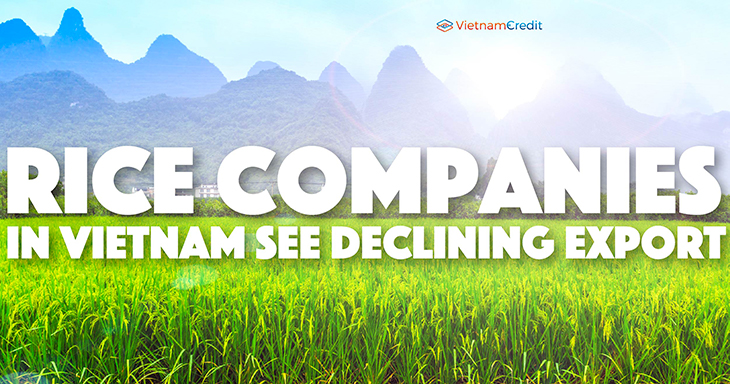 Rice companies in Vietnam see declining export